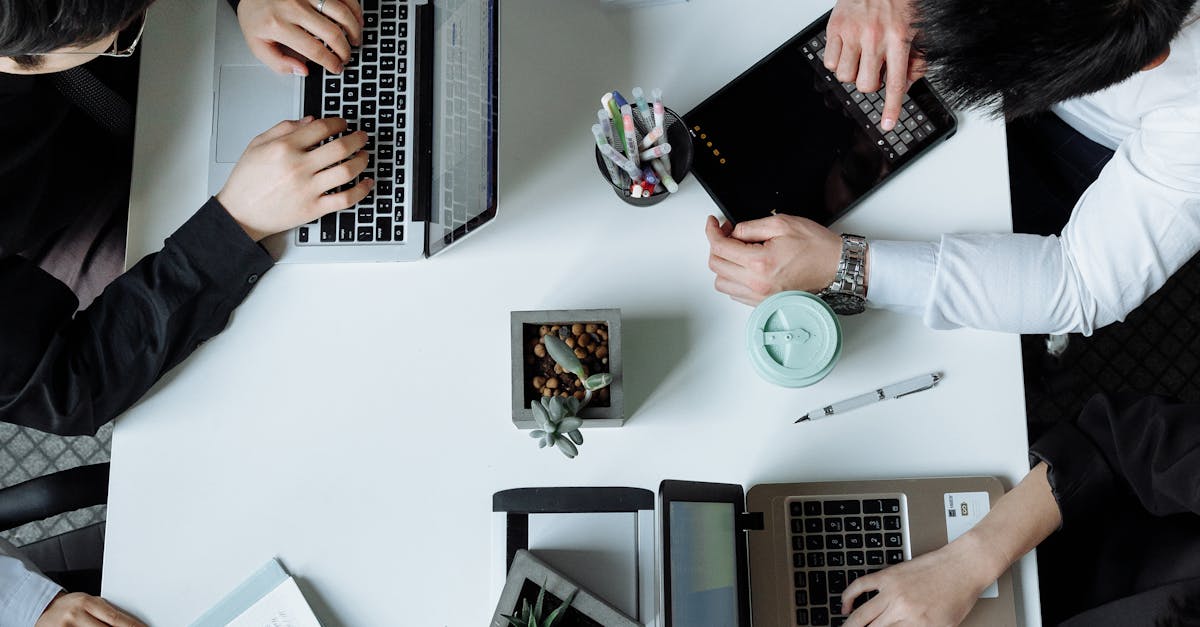 Things to do and places to visit in North Strathfield, New South Wales